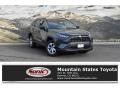 2019 Magnetic Gray Metallic Toyota RAV4 LE AWD  photo #1