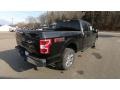 Agate Black - F150 XLT SuperCrew 4x4 Photo No. 7