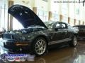2009 Alloy Metallic Ford Mustang Shelby GT500 Coupe  photo #14