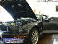 2009 Alloy Metallic Ford Mustang Shelby GT500 Coupe  photo #28