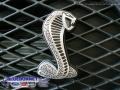 2009 Alloy Metallic Ford Mustang Shelby GT500 Coupe  photo #30