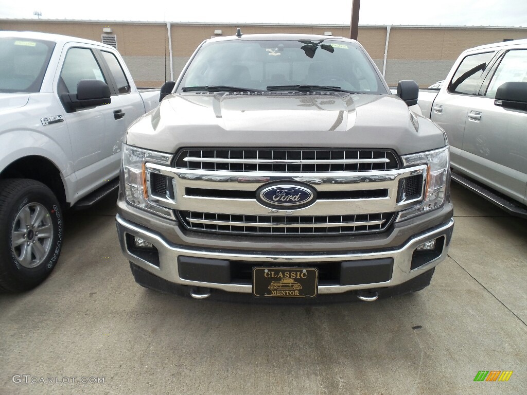 2019 F150 XLT SuperCrew 4x4 - Stone Gray / Earth Gray photo #2