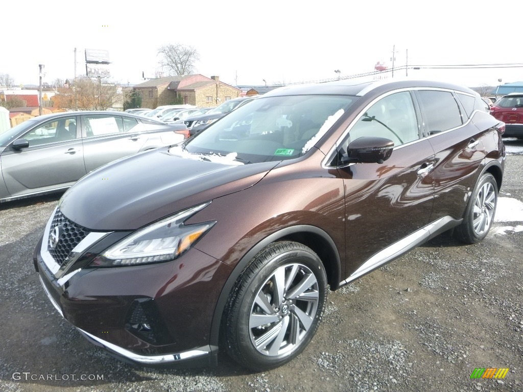 Mocha Almond Pearl 2019 Nissan Murano SL AWD Exterior Photo #131563754