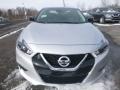 Brilliant Silver - Maxima Platinum Photo No. 9