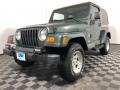 Shale Green Metallic 2002 Jeep Wrangler Sahara 4x4