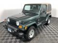 Shale Green Metallic - Wrangler Sahara 4x4 Photo No. 2
