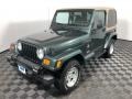 2002 Shale Green Metallic Jeep Wrangler Sahara 4x4  photo #2