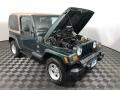 Shale Green Metallic - Wrangler Sahara 4x4 Photo No. 13