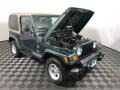 2002 Shale Green Metallic Jeep Wrangler Sahara 4x4  photo #13