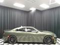 F8 Green 2019 Dodge Charger R/T Scat Pack Exterior