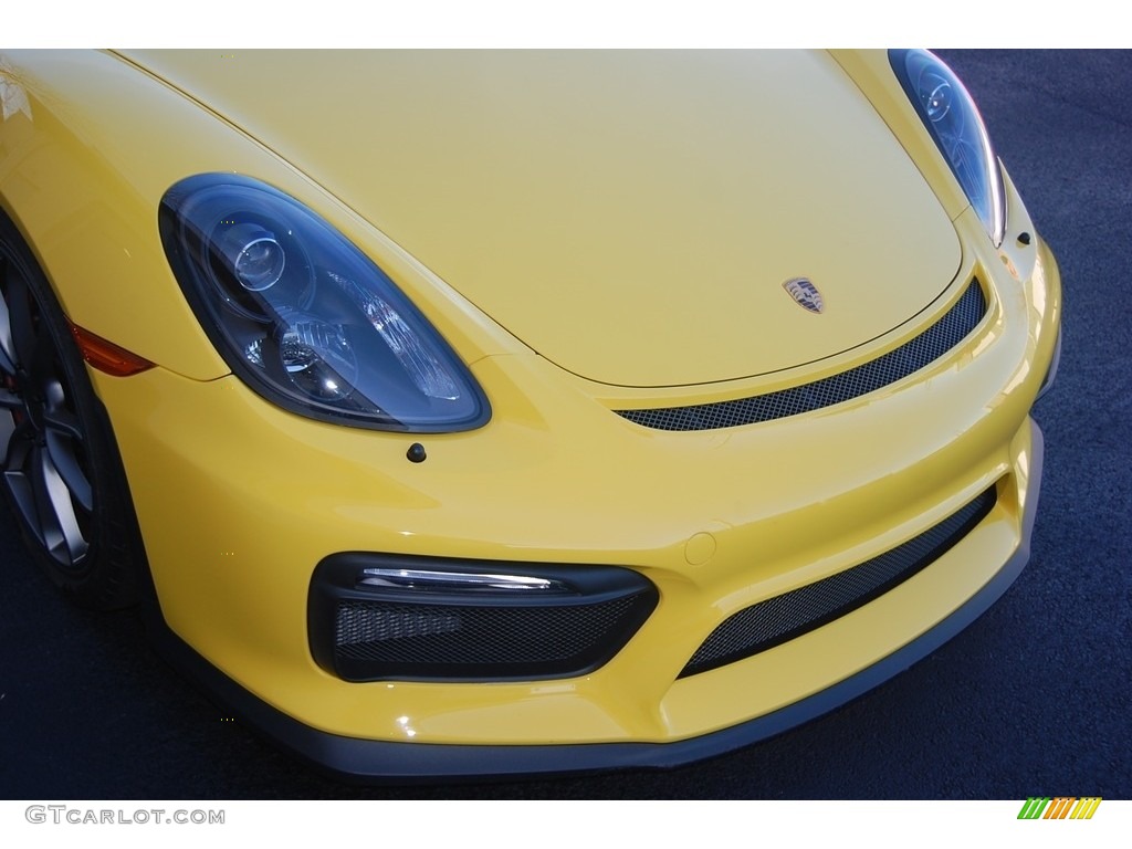 2016 Cayman GT4 - Racing Yellow / Black photo #29