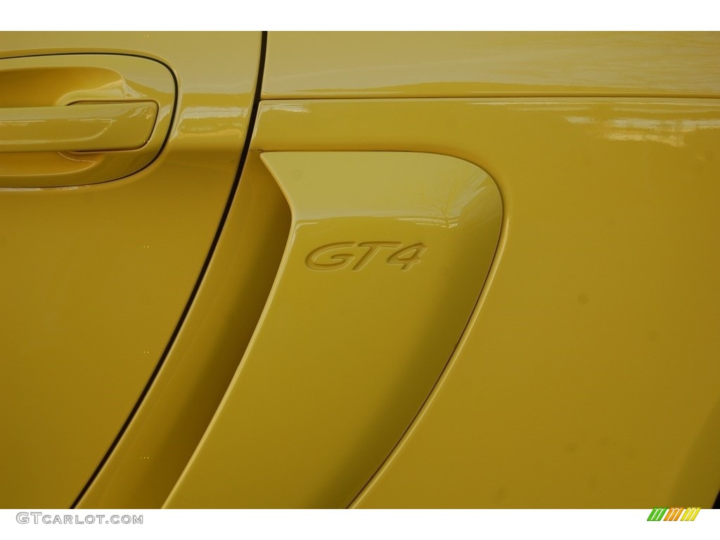 2016 Porsche Cayman GT4 Marks and Logos Photo #131602789