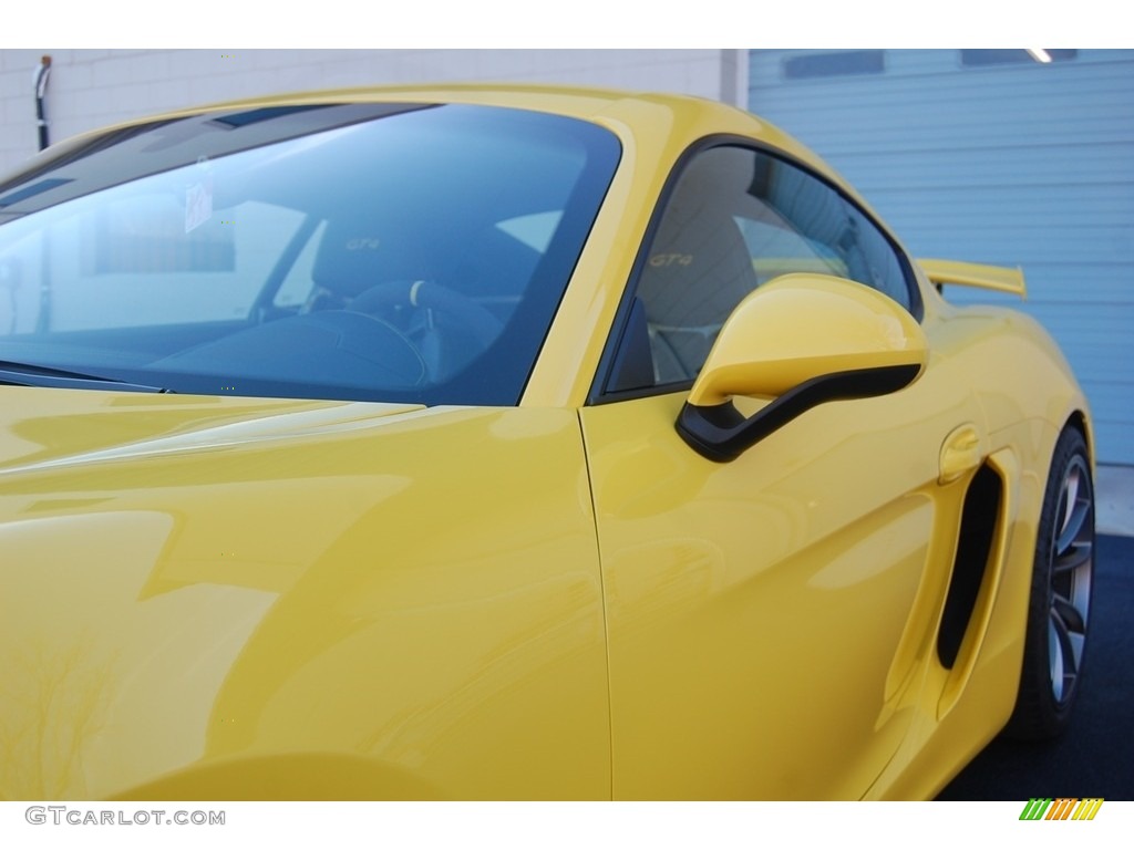 2016 Cayman GT4 - Racing Yellow / Black photo #32
