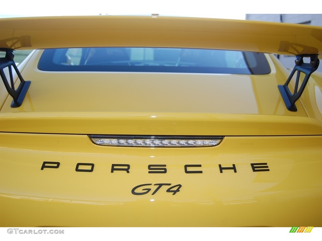 2016 Porsche Cayman GT4 Marks and Logos Photos