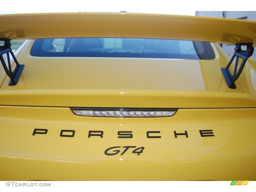 2016 Cayman GT4 - Racing Yellow / Black photo #34