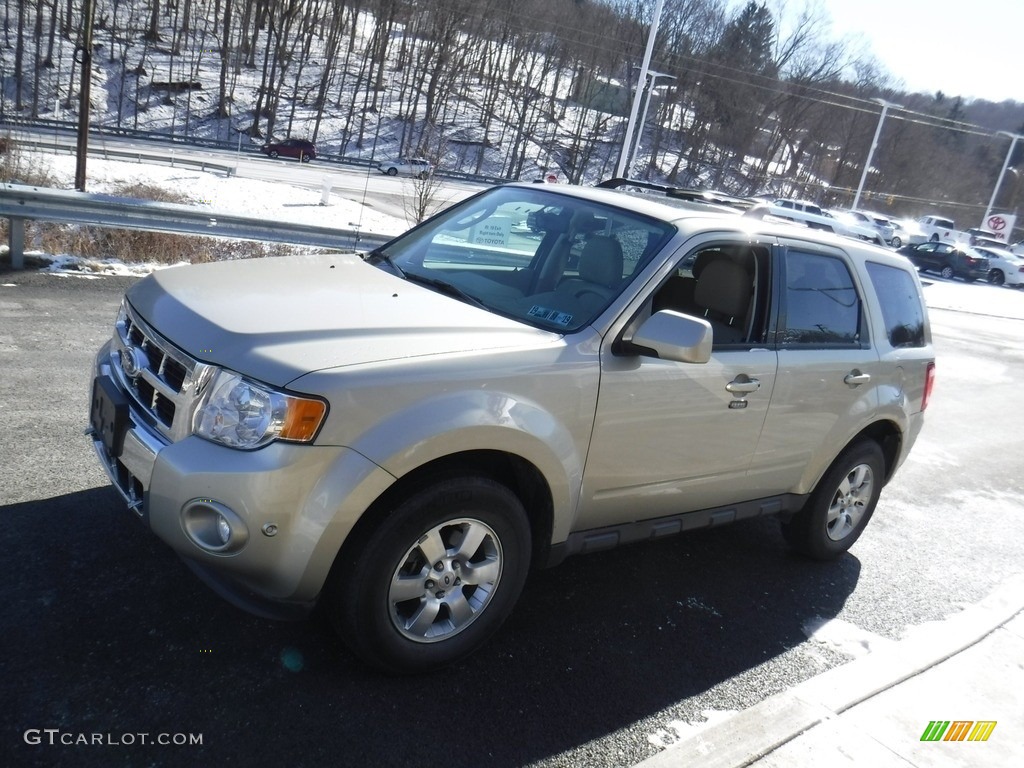 2012 Escape Limited V6 4WD - Gold Leaf Metallic / Camel photo #5