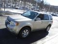 2012 Gold Leaf Metallic Ford Escape Limited V6 4WD  photo #5