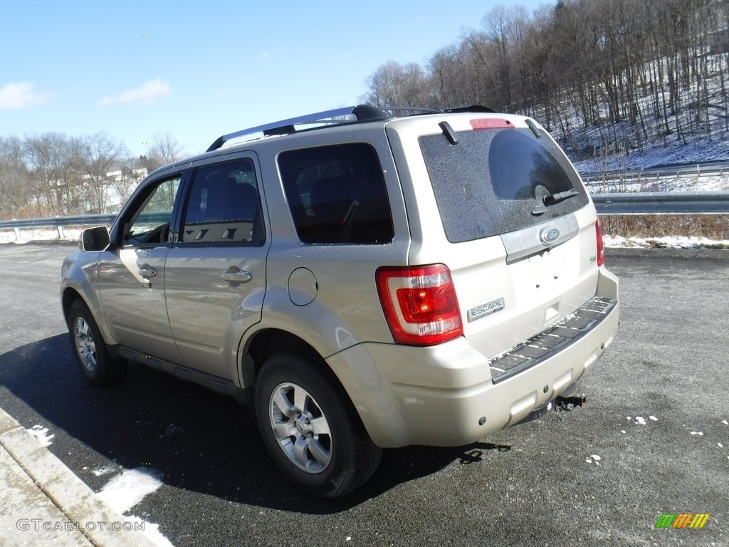 2012 Escape Limited V6 4WD - Gold Leaf Metallic / Camel photo #7