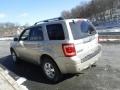 2012 Gold Leaf Metallic Ford Escape Limited V6 4WD  photo #7