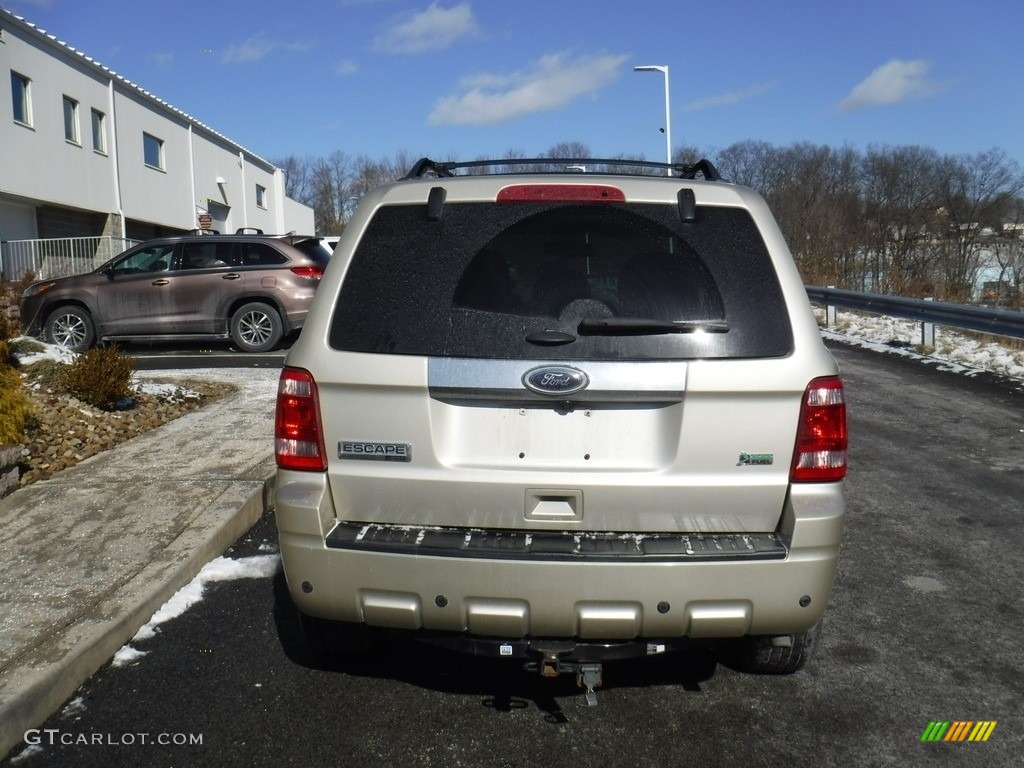2012 Escape Limited V6 4WD - Gold Leaf Metallic / Camel photo #8