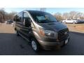 Magnetic 2019 Ford Transit Passenger Wagon XL 150 LR