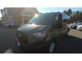 Magnetic - Transit Passenger Wagon XL 150 LR Photo No. 3