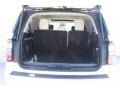White Platinum Metallic Tri-Coat - Expedition Platinum Max Photo No. 22
