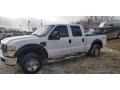 Oxford White - F250 Super Duty XLT Crew Cab 4x4 Photo No. 6
