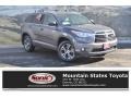 Predawn Gray Mica - Highlander XLE Photo No. 1