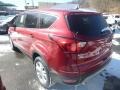 2019 Ruby Red Ford Escape SE 4WD  photo #6