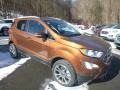 Canyon Ridge Metallic - EcoSport Titanium 4WD Photo No. 3