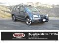 Dark Gray Metallic - Forester 2.5i Photo No. 1