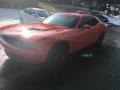 Go Mango - Challenger SXT Photo No. 3
