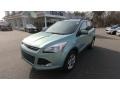 2013 Frosted Glass Metallic Ford Escape SE 1.6L EcoBoost 4WD  photo #3