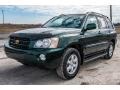 2002 Electric Green Mica Toyota Highlander V6 4WD  photo #8