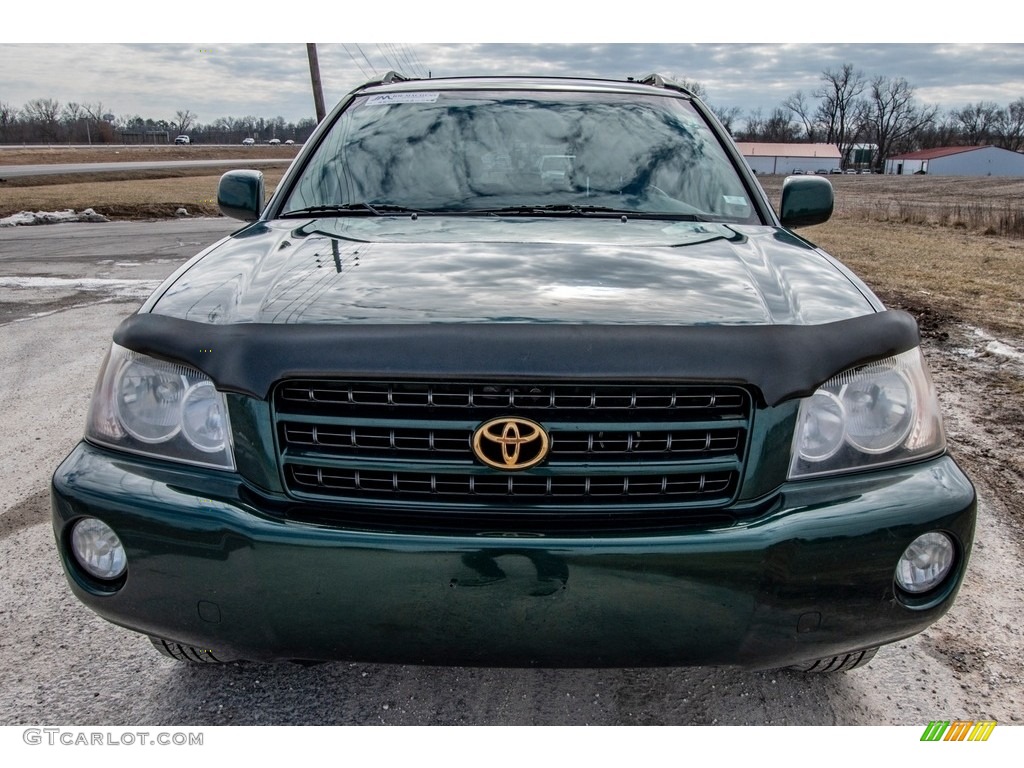 2002 Highlander V6 4WD - Electric Green Mica / Ivory photo #9