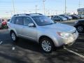 Spark Silver Metallic - Forester 2.5 X Premium Photo No. 4