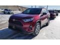 2019 Ruby Flare Pearl Toyota RAV4 XLE AWD  photo #1