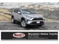 2019 Silver Sky Metallic Toyota RAV4 XLE AWD  photo #1