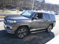 Magnetic Gray Metallic - 4Runner Limited 4x4 Photo No. 8