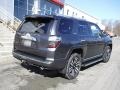 Magnetic Gray Metallic - 4Runner Limited 4x4 Photo No. 11