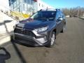 2019 Magnetic Gray Metallic Toyota RAV4 XLE AWD  photo #1