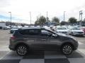 2017 Magnetic Gray Metallic Toyota RAV4 Limited  photo #3