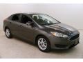 Magnetic - Focus SE Sedan Photo No. 1