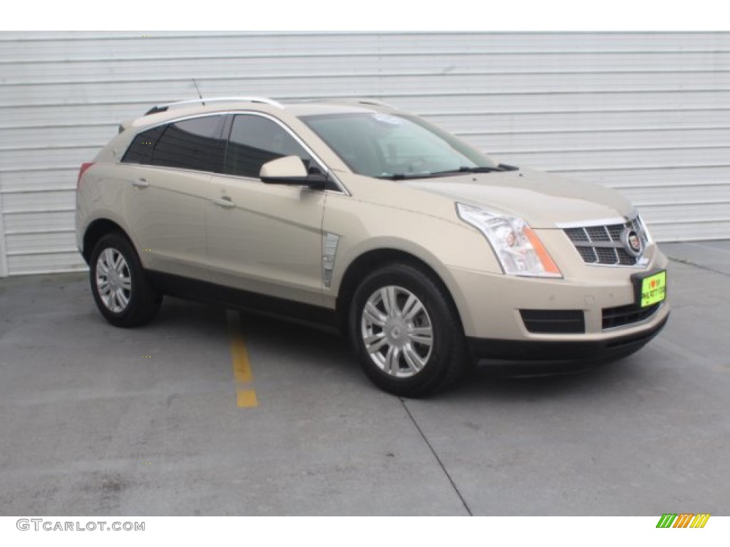 2010 SRX V6 - Gold Mist / Shale/Brownstone photo #2