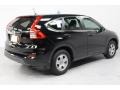 Crystal Black Pearl - CR-V LX Photo No. 7