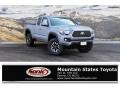 2019 Cement Gray Toyota Tacoma TRD Sport Access Cab 4x4  photo #1