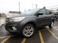 Magnetic 2017 Ford Escape SE 4WD