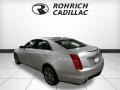 Radiant Silver Metallic - CTS Luxury AWD Photo No. 3