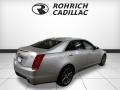 Radiant Silver Metallic - CTS Luxury AWD Photo No. 5